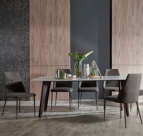 dining table, dining chair